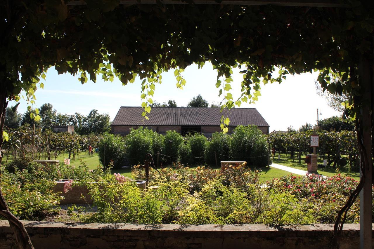 Agriturismo Tenuta La Pila Villa Villa Bartolomea Buitenkant foto